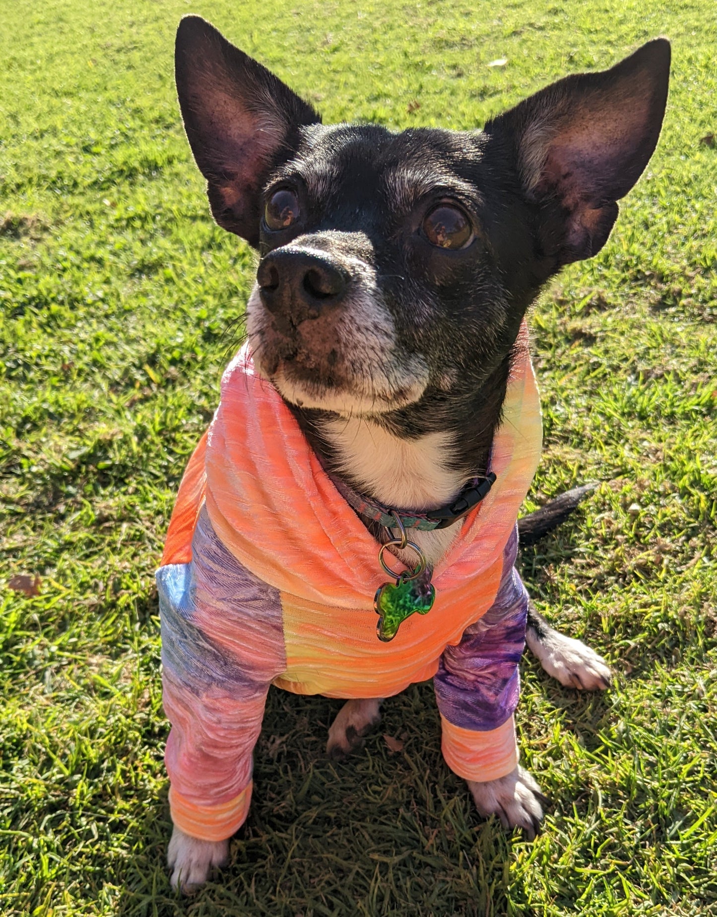 Velvet Dreams Are Made Of This Fur Baby Tie Dye Raglan Hoodie - XXS to XXL Available - Made To Order