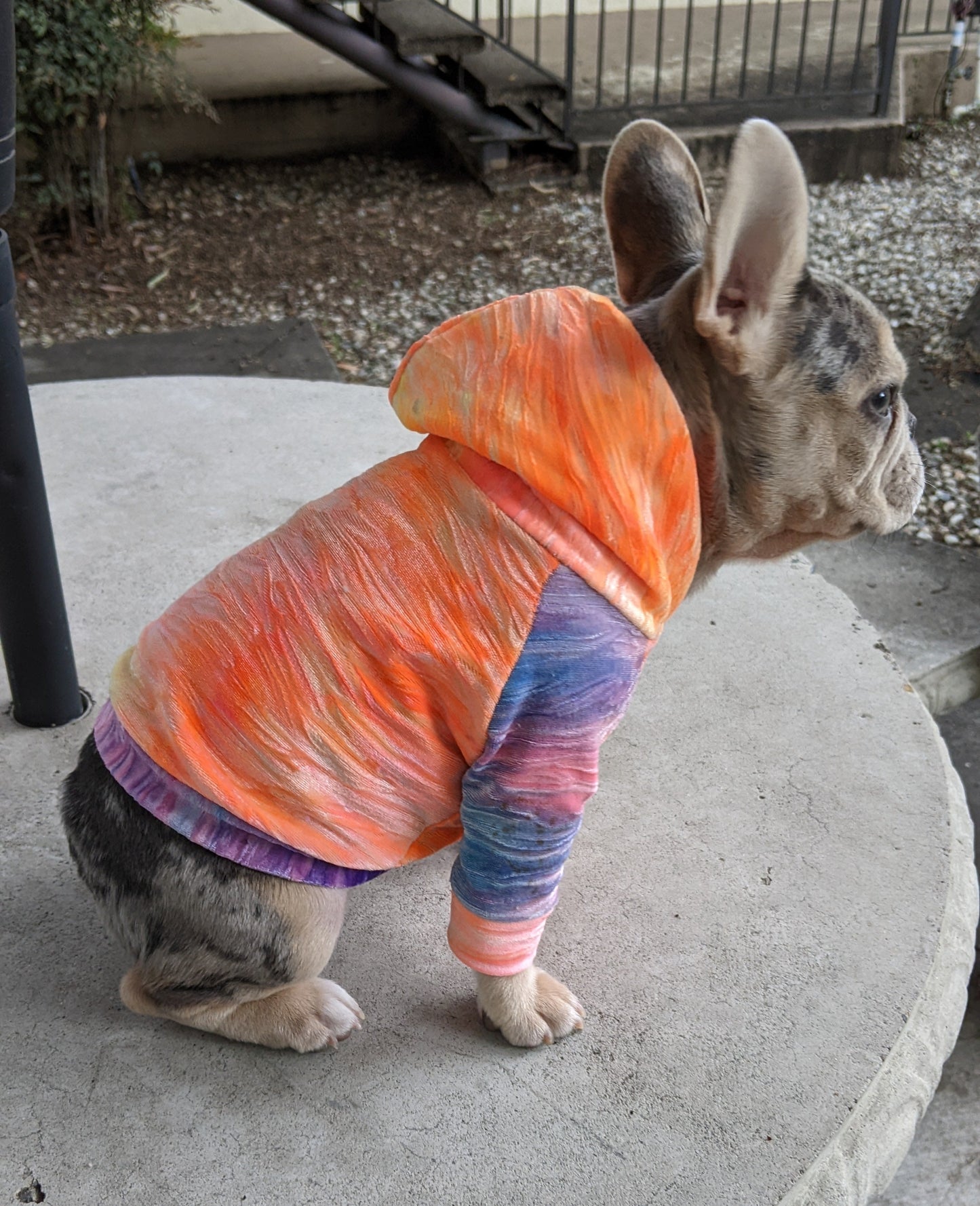 Velvet Dreams Are Made Of This Fur Baby Tie Dye Raglan Hoodie - XXS to XXL Available - Made To Order