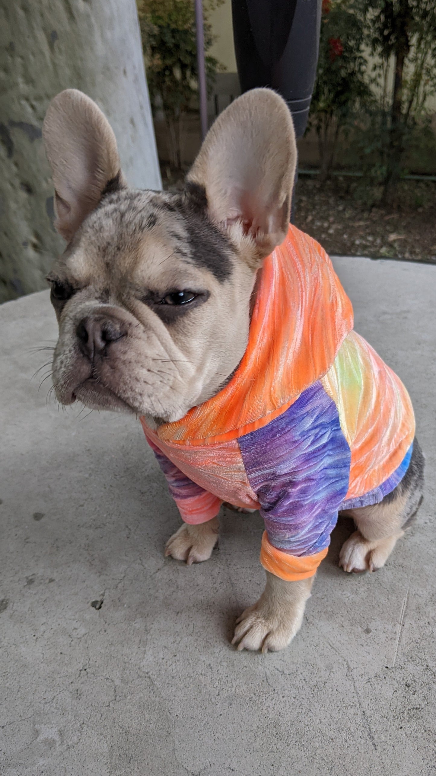 Velvet Dreams Are Made Of This Fur Baby Tie Dye Raglan Hoodie - XXS to XXL Available - Made To Order